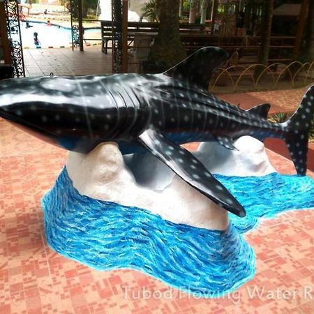 Tubod Flowing Water Resort Minglanilla Eksteriør billede